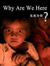 ����Ϊ��