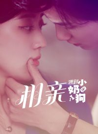 ��������С�̹�