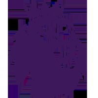 Ӣ������ ��˹��ά��VS�ж���20260305