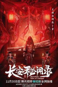 ��������¼